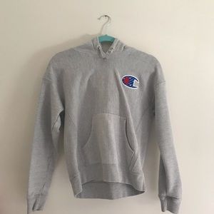 gray champion hooded sweatshirt, with large logo
